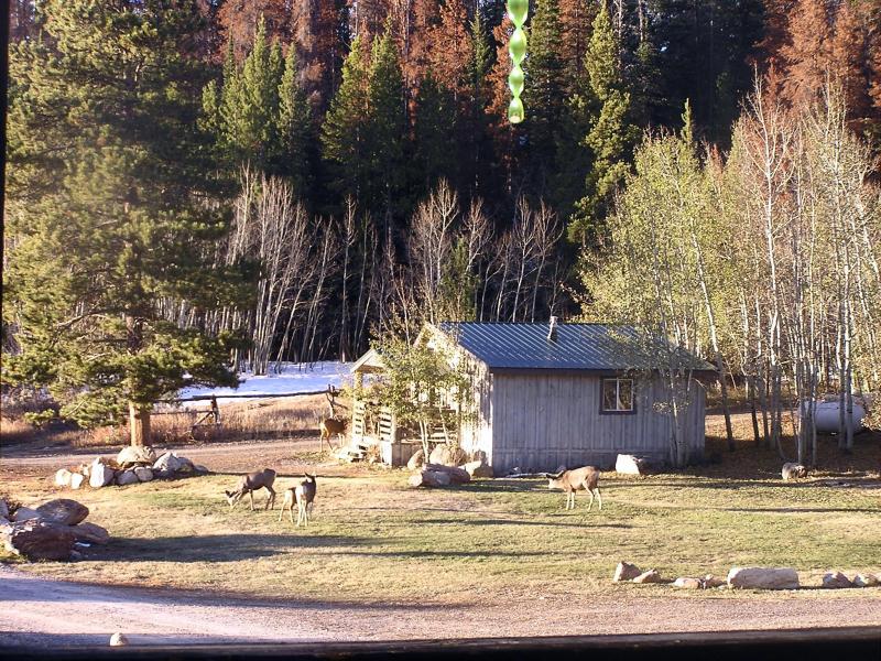 View Of Cabin Grounds